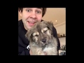 David Dobrik newest tiktok clips from April | Part One |