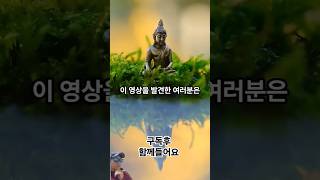 소원 로또 성공 👍   #동기부여 #인생조언 #인생명언  #성공명언 #성공비결 #성공습관 #오늘도명언