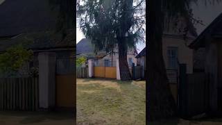 Какие Голоса!!Заслушаешься! #деревня #песня #любовь #гармонь