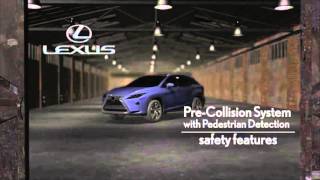 PCS (Pre-Collison System) with Pedestrian Detection
