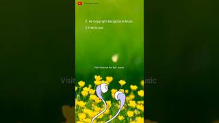 No copyright background music for creators | Royalty free. #backgroundmusic #freebeats