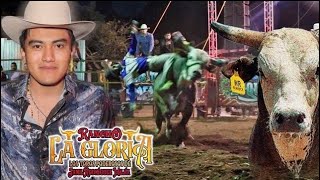 SUFRIERON LOS JINETES/ RANCHO LA GLORIA DE JAMIL RODRÍGUEZ MEJÍA EN SAN FRANCISCO RANCHO NUEVO ‼️‼️🚨