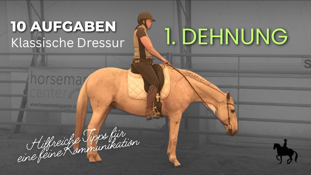 Pferde gesund reiten 🐴 1. Die Dehnung. Hilfreiche Tipps #pferde #reiten #pferdetraining #dressur