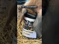 Truffle the Psychic Pig Predicts the 2024/25 PDC World Darts Championship Winner