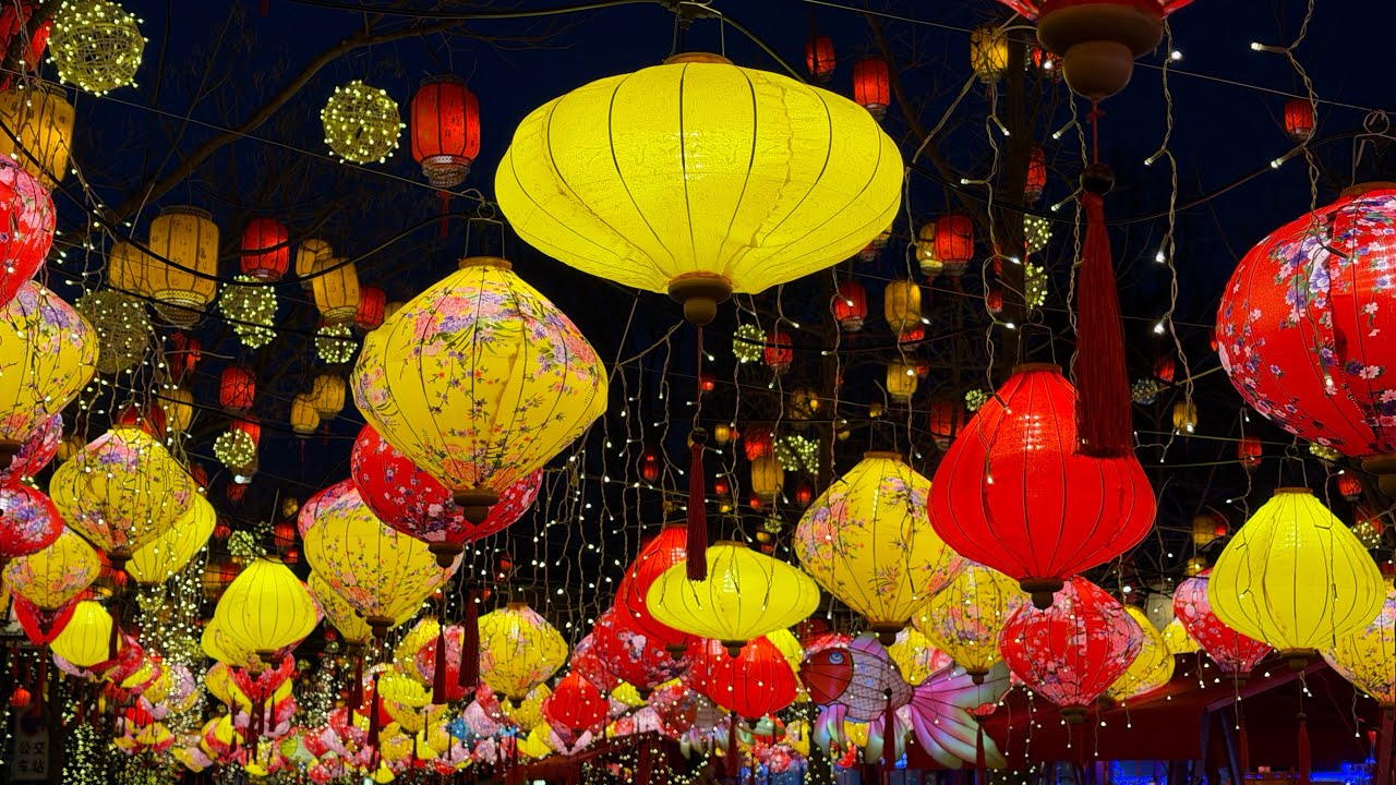 我在同庆街观花灯～还拍了🐎屁……哈哈