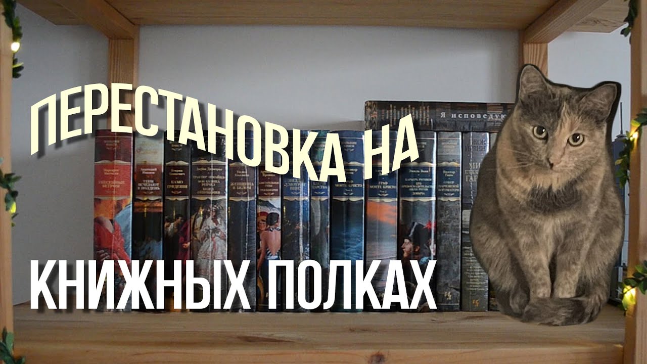 перестановка на книжных полках | расставляю новые книги ✨♥️