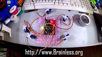 BillyBot + RoboGuts + PICAXE 18M2