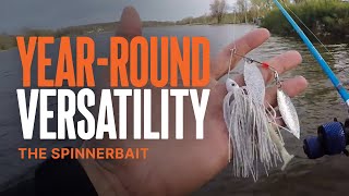 Spinnerbaits | More Than Fair Weather Friends