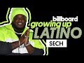 Sech Talks Favorite Slang & Foods From Panama, His Childhood Role Model & More | Growing Up Latino