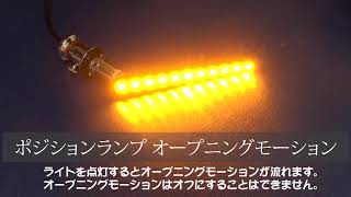 アルファード20系専用LEDポジションランプ＆流れるウインカー オープニングモーション シーケンシャル・全面点灯切り替え