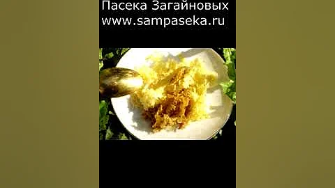 МОЖНО ЛИ ПРОГЛАТЫВАТЬ ЗАБРУС?