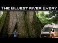 Rio Celeste: The Bluest River? [PANAMERICAN HIGHWAY VANLIFE TRAVEL]