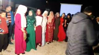 Roj müzik halay