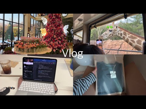 (Eng)직장인Vlogl 카페드 첼시, 에버랜드, 좋아하는 카페에서 카공하는 시간들