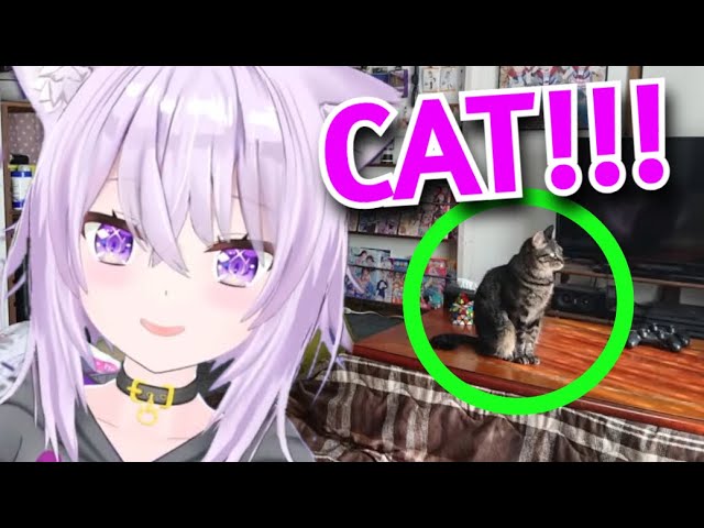 Okayu Gets Excited Every Time She Sees A Cat in Her Viewers' Rooms [Hololive]