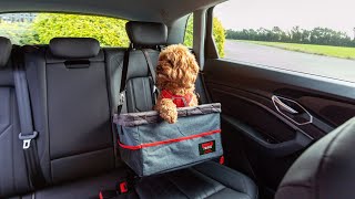 KONG Ultimate Booster Seat