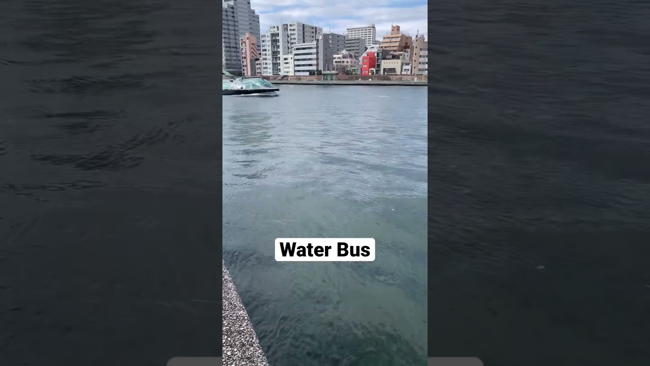 Water Bus in Tokyo for tourist 