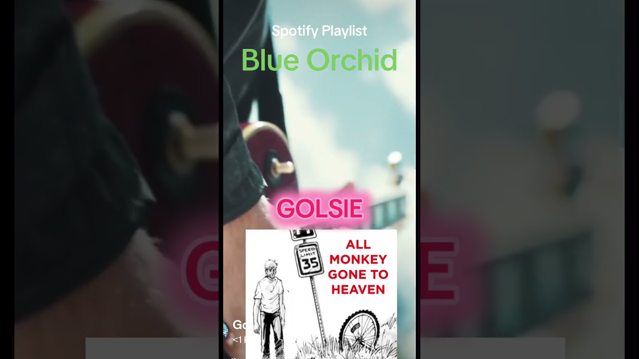 Guarda All Monkey Gone to Heaven 🐒 | The Best Indie & Alternative Gems 🎧 su YouTube Guarda All Monkey Gone to Heaven 🐒 | The Best Indie & Alternative Gems 🎧 su YouTube