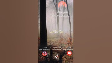 سورة النور - سليمان العتيبي || آية 35 ||