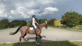Class 6 - First Level Test 2 Ella O’Brien and Stardust 