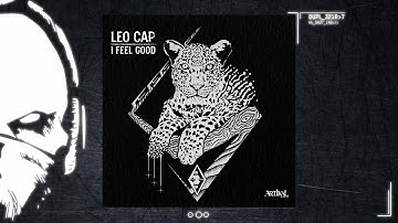 Leo Cap - I Feel Good [duploc.com premiere]