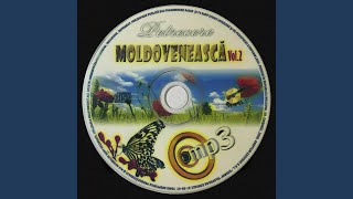 Petrecere Moldovenească Vol. 2 / Partea 3