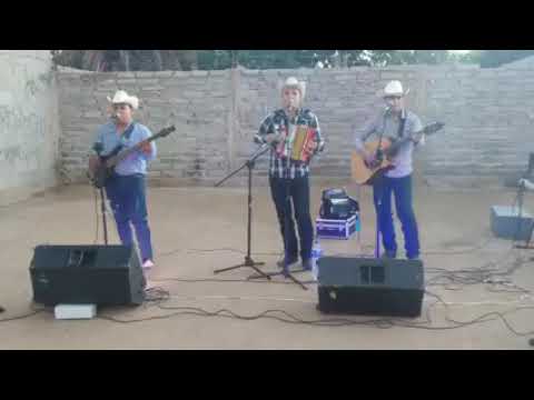 Los Gomeros | Estilo Al Rancho [2021]