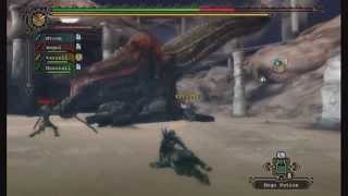 Monster Hunter 3 Tri: Rage Match - Deviljho