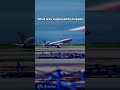What was supposed to happen Vs. What actually happened AA 191 #aviation #shorts #edit