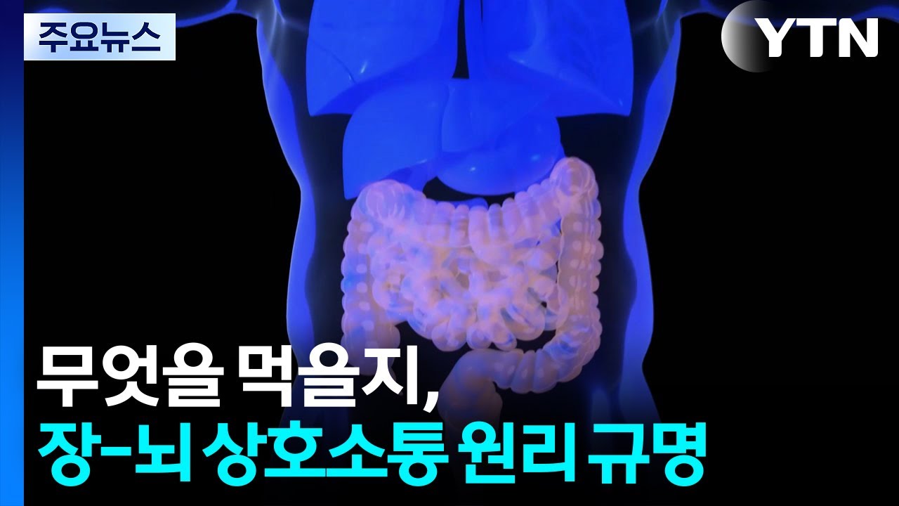 우리 몸이 무엇을 먹을지 결정하는 원리는?...장과 뇌 조절 원리 규명 / YTN