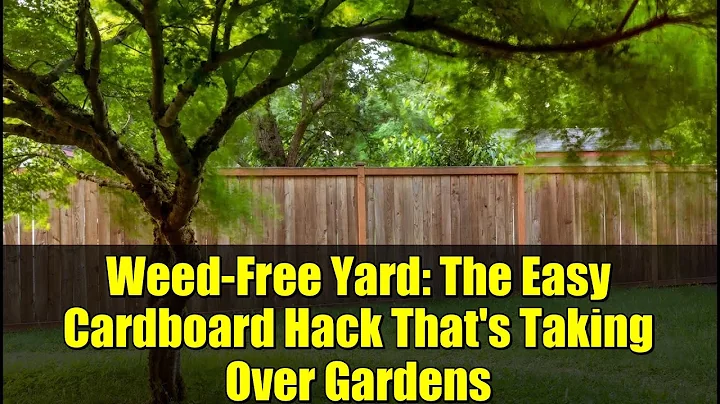 Weed-Free Yard: The Easy Cardboard Hack That's Taking Over Gardens