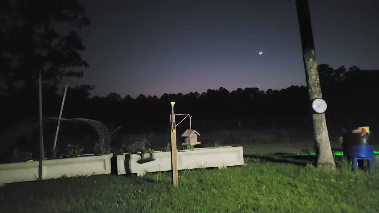 from Trial Ls YouTube