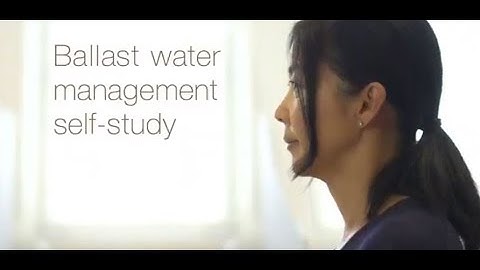 Alfa Laval PureBallast 3 CBT for ballast water treatment system