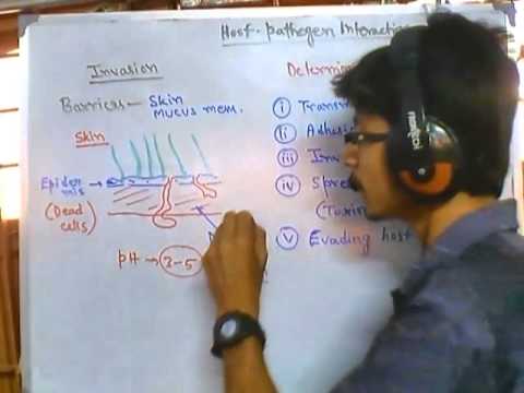 Invasion of host cell by pathogen