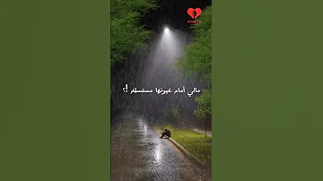 رجل ما استسلمت قبل لفارس 