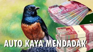 Gambar Burung Mahal Harganya Bisa RATUSAN JUTA.. #kicaumania #muraibatu #dadingtimur screenshot 2