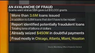 How Scammers Buried a Small-Business Relief Program