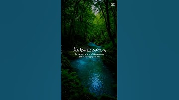 🤲 #احمد_العجمي #cute آيات بينات من الذكر الحكيم سكينة وطمأنينة وراحة نفسية #اكسبلور