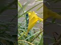 आपके हिसाब से सांस किसे कहते हैं#funny #comedy #shortvideo #@astroiddestroyer-r6x #funniestvideo
