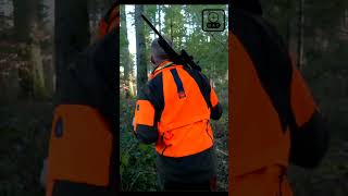 Chasse aux sangliers en Haute Marne part 2