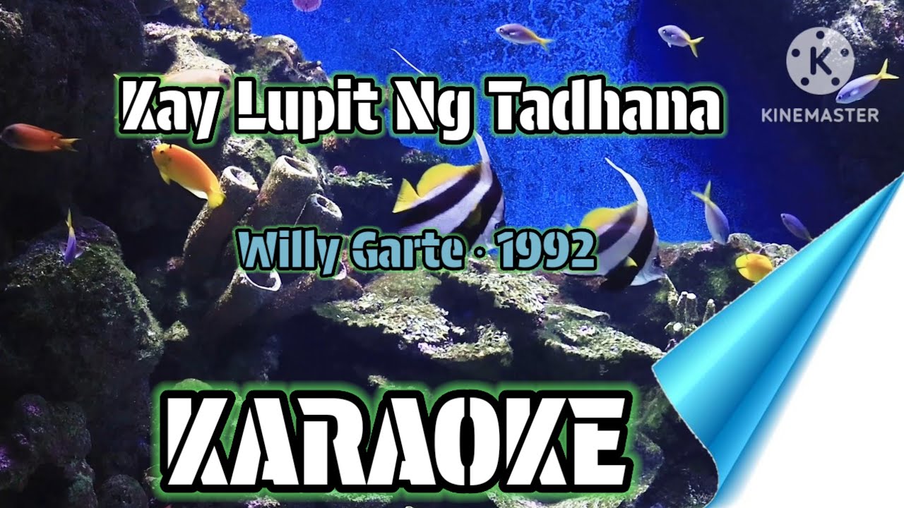 KAY LUPIT NG TADHANA 🎤WILLY GARTE🎤 KARAOKE