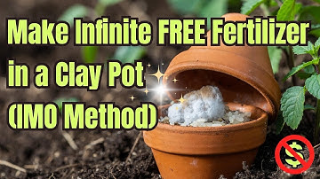 Build Living Humus Soil in a Clay Pot for Disease-Free Plants (Indigenous Microorganisms)