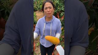 Chinese Mango