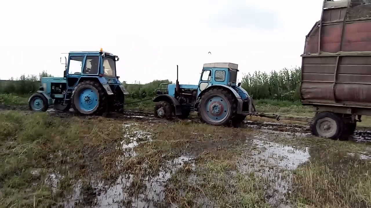 Группа т 40. Т 40 ам в делянке. Т-40 (трактор). Т40 трактор с сеилкаи. Трактора МТЗ И Т 40.