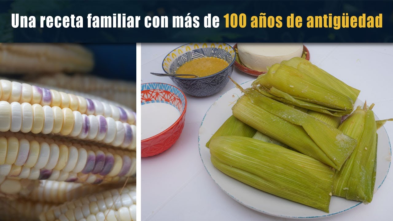 TAMALES DE ELOTE, una receta ancestral en mi familia | La cuinique