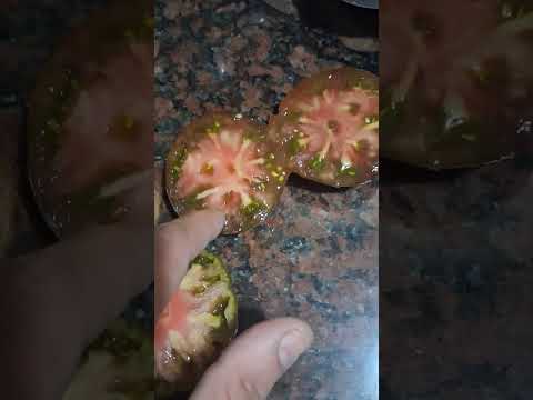 dos tipos de reliquia uno comercial y otro que era elegido pero con decaimiento interno,  vomitivo