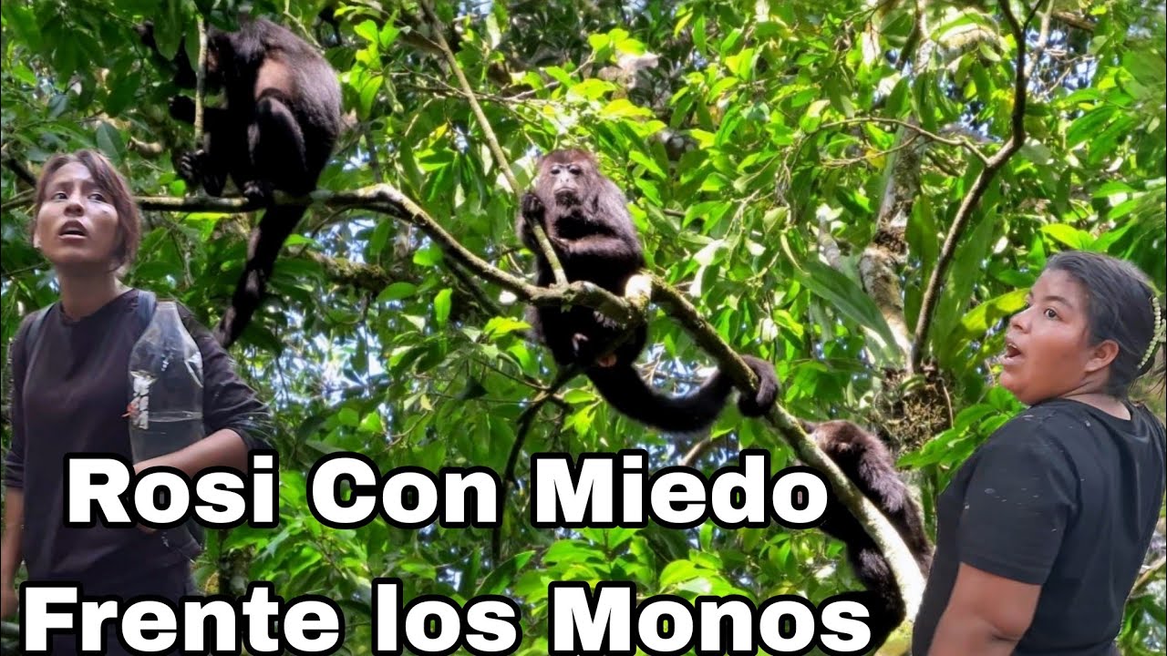 🔴Rosi Por Primera Vez//Canche y Rosi Gritan Del Miedo😱Vimos Grandes Monos