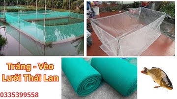 Vèo lưới thái lan nuôi ốc cá tôm cua ếch lươn,,,. đủ mọi kích thước , có nhiều lỗ lưới để chon nuôi