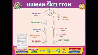 Science Worksheets