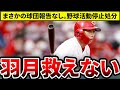 【広島】羽月救えない。野球活動停止処分に。球団に報告なしのあり得ない行動。新井監督や島内選手会長らのコメントも【広島東洋カープ】